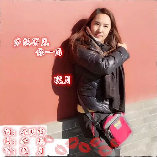 多想再见你一面是什么歌