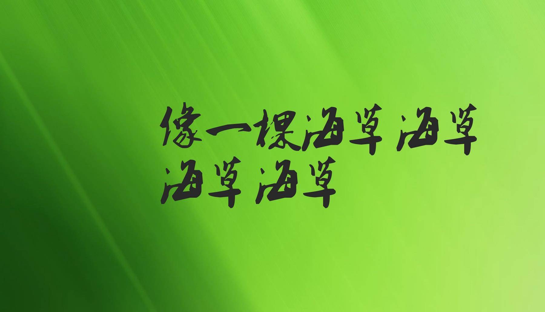 随风飘摇是什么歌