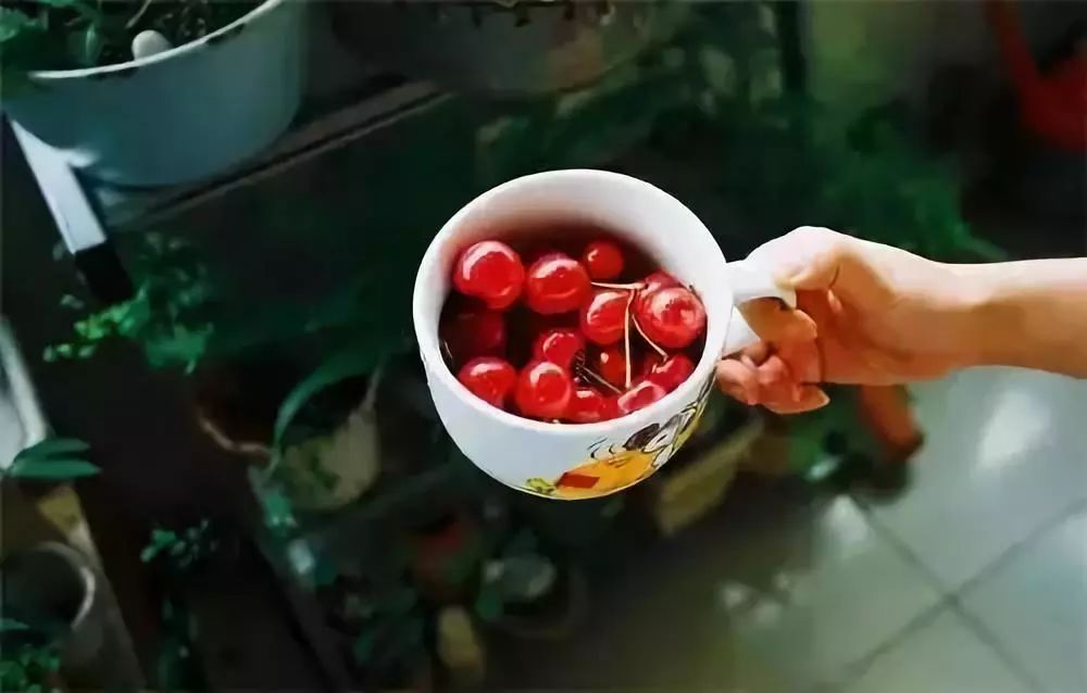 聪明的孩子提着易碎的灯笼是什么歌