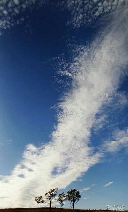 白云缠绕着蓝天是什么歌