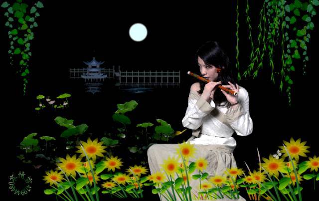 冷冷的风刺痛我的心是什么歌