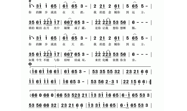 带你去流浪是什么歌里的歌词