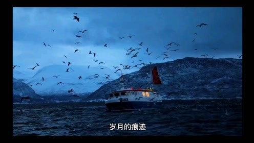 有了岁月的痕迹是什么歌