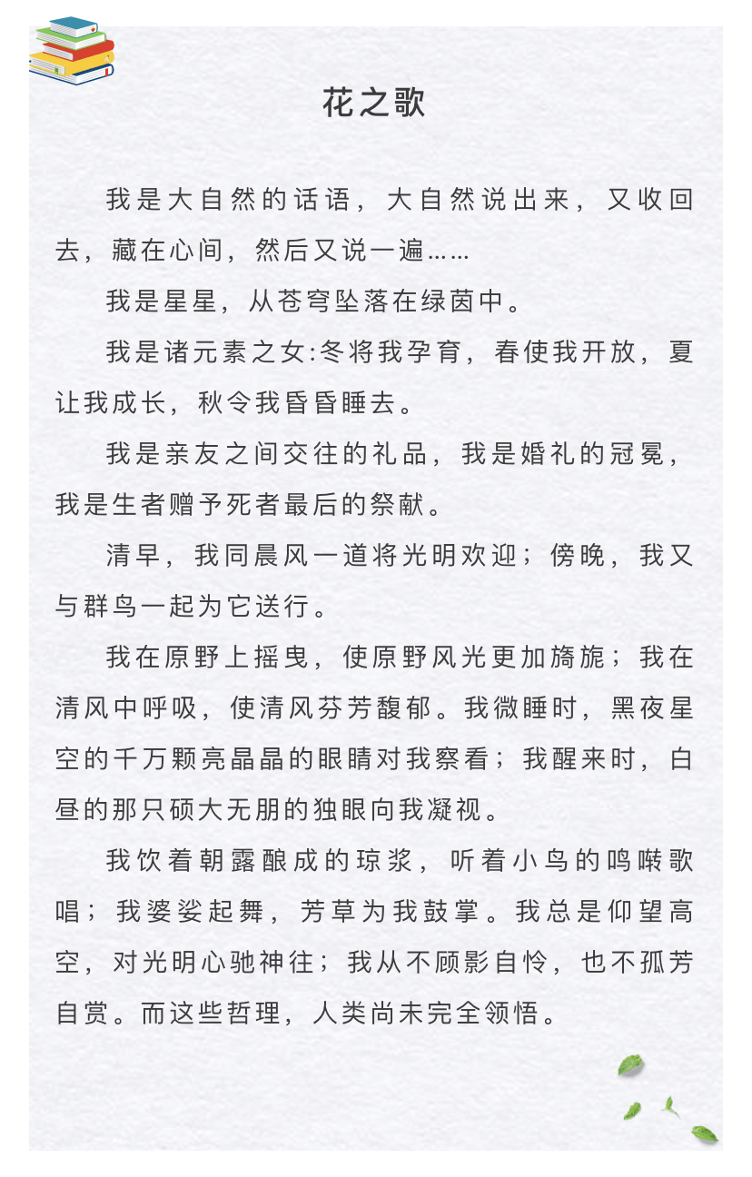 你是我最美的花是什么歌