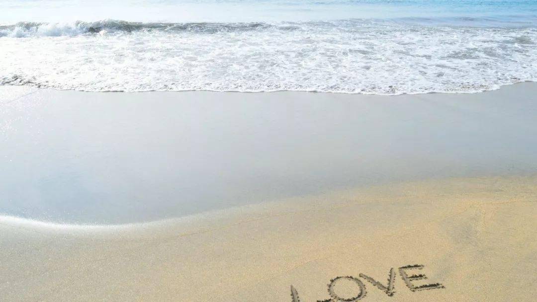 朝花夕拾杯中酒是什么歌