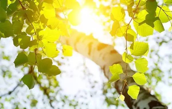 一整个夏天所有和你的画面是什么歌