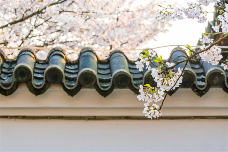 想看你笑想和你闹是什么歌