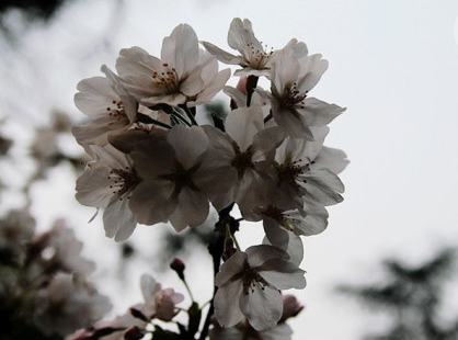 烽烟起寻爱似浪淘沙什么歌