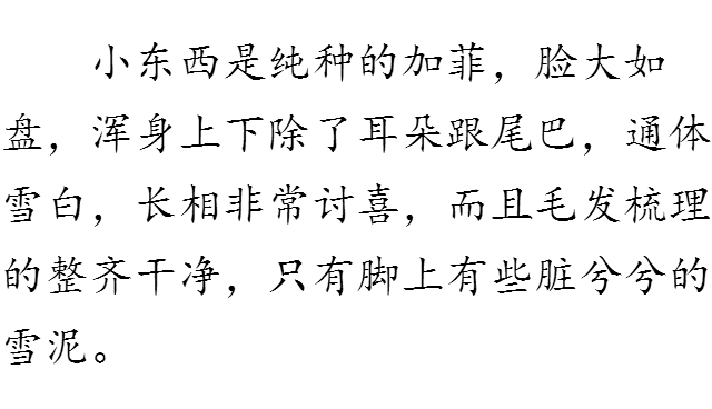 不再孤单与我作伴是什么歌