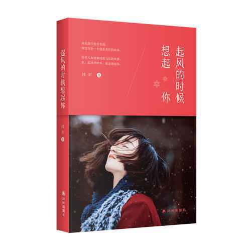 起风的夜里我又想起你是什么歌