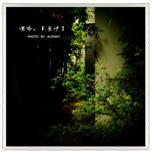 发黄的相片古老的信什么歌