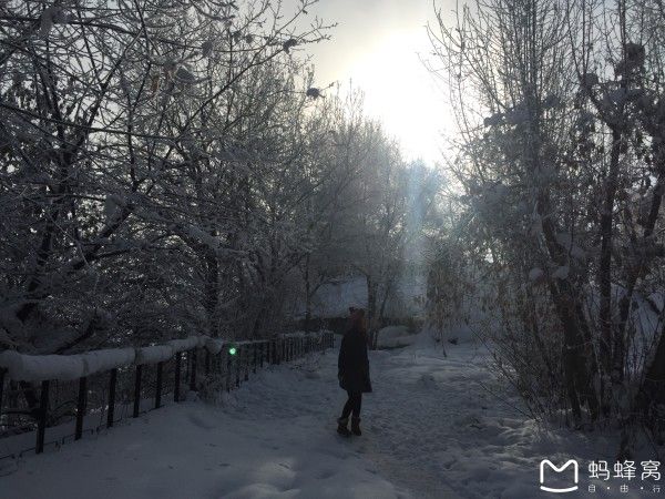 静静的村庄飘着白的雪是什么歌