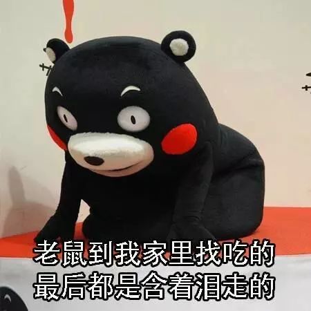 有人挣钱给你花是什么歌