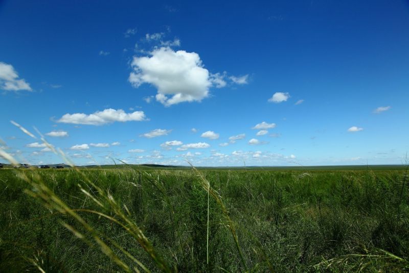 这故事,天边的大海什么歌