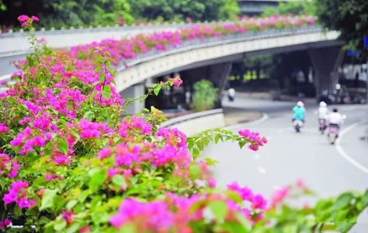 青山常在碧水长流是什么歌