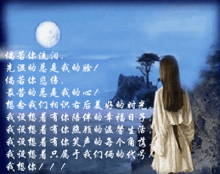 这誓言已是命中最美的相见是什么歌