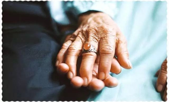 牵着你的手一起到白头什么歌