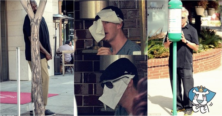 你没发现我躲在角落是什么歌