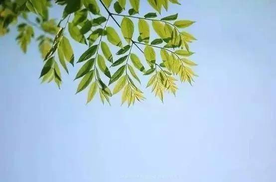 不放手不挽留是什么歌