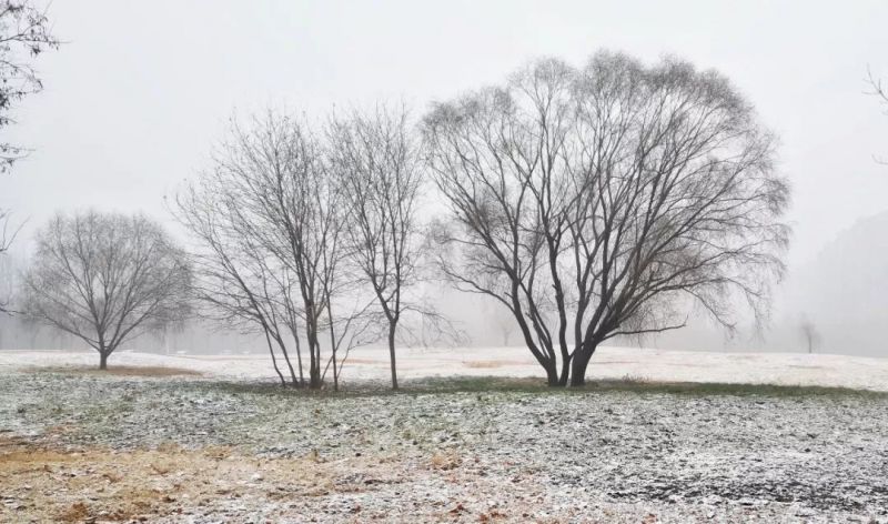 我听见雪落下的声音是什么歌