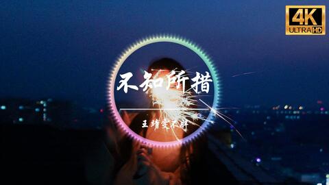 来不及说再见是什么歌