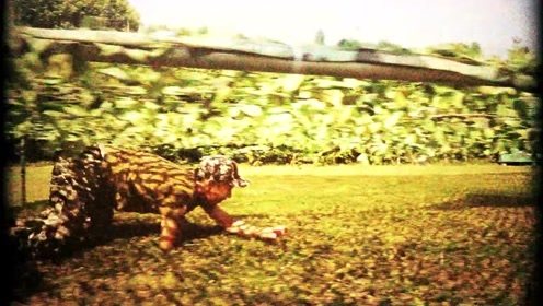 秋天的风夏天的雨是什么歌