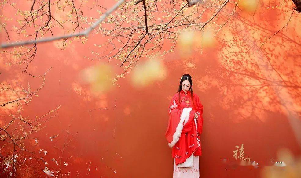 时光悄悄已流走是什么歌