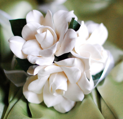 栀子花白花瓣是什么歌