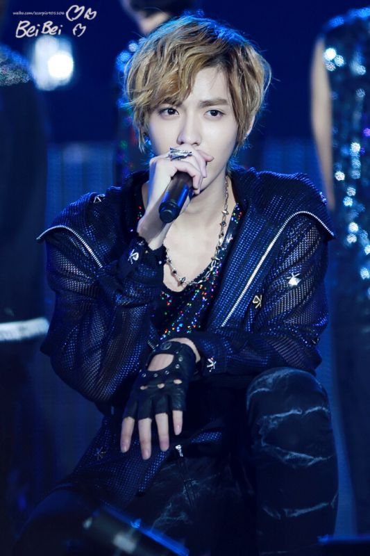 温柔的他单膝跪地什么歌