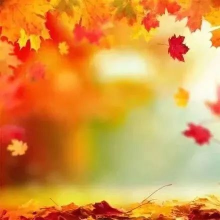 在梦里我遇见了你是什么歌