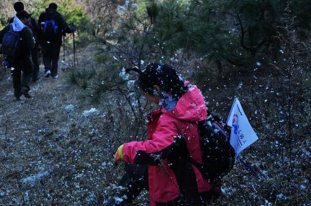 生活就像爬大山歌词是什么歌曲