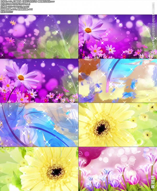 配花的音乐有什么歌