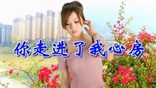 让我轻轻走进你的心房什么歌