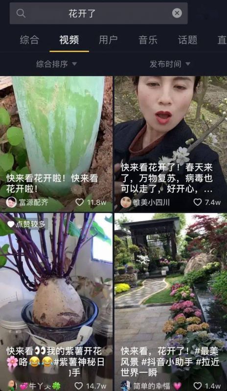 抖音里快来看花开了是什么歌