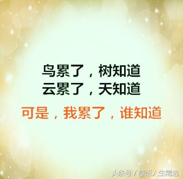 我累了我累了是什么歌