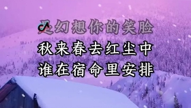 看不到你的身影是什么歌曲