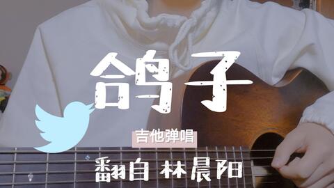 美丽的鸽子鸽子我喜欢你是什么歌