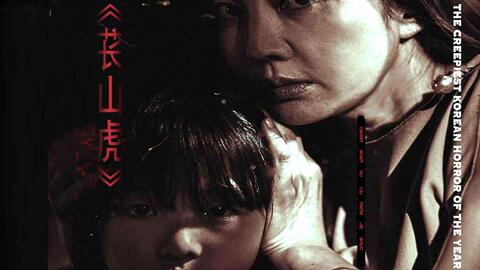 同情心泛滥是什么歌