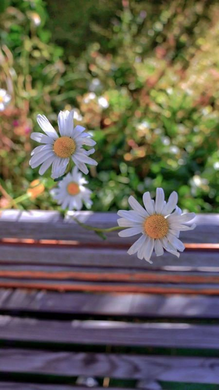 快乐就是快乐就像是什么歌