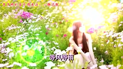 风也过雨也过是什么歌