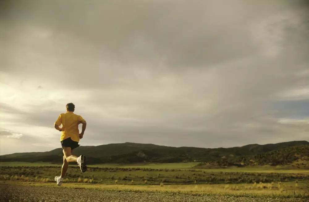 我奔跑在苏醒的大地是什么歌