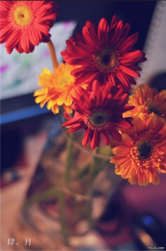 你是上帝送给我的礼物是什么歌