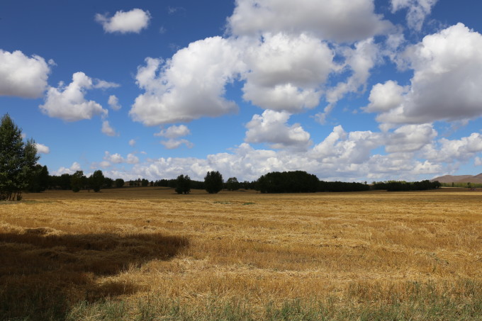 转眼秋色来到了草原是什么歌