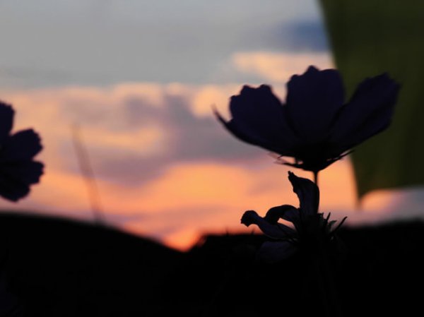 记忆的画面 回忆的从前是什么歌