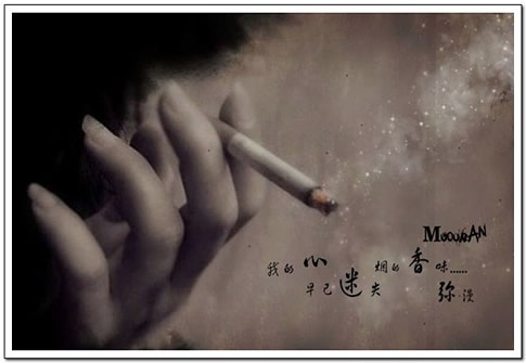 因为我早已迷失了方向是什么歌