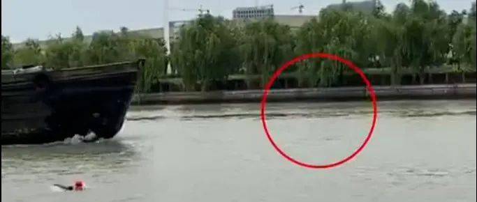 为了最初的美好是什么歌