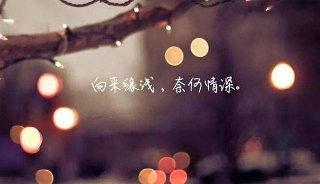 相识相逢难相守是什么歌