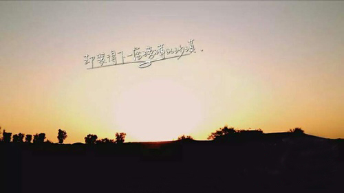 漂泊我此生恁多情是什么歌