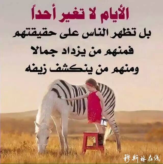 以为岁月不会改变是什么歌