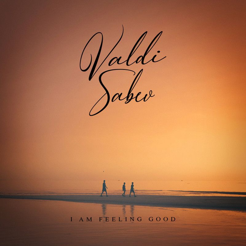 i am feeling good什么歌